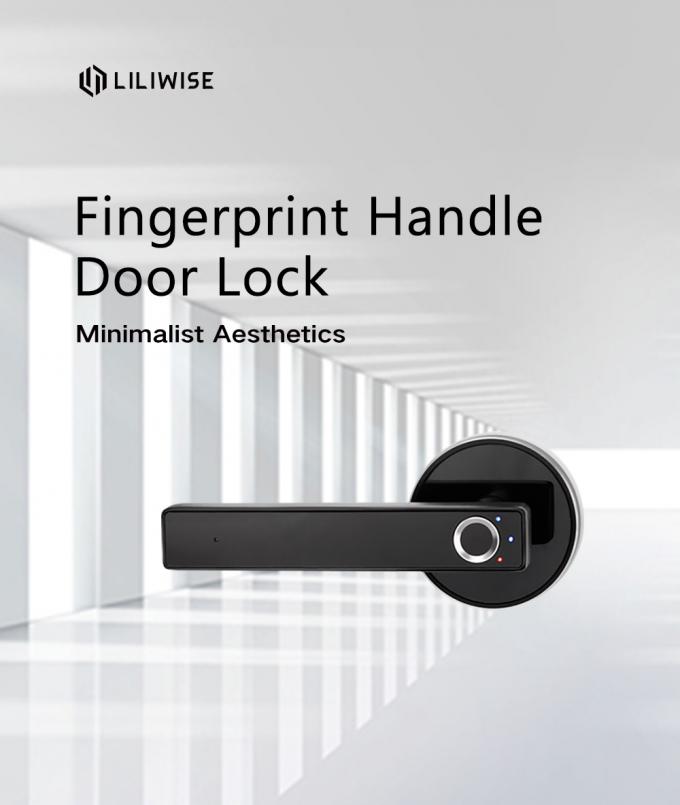 Elektronischer Türgriff-Verschluss intelligenter schwarzer einfacher biometrischer Fingerabdruck-Digital 0
