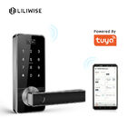 Fingerabdruck-Türschloss-Griff-Digital Tuya Keyless intelligentes Türschloss biometrischer