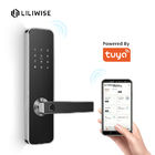 Intelligente Bluetooth-Türschloss Tuya-App-Systemsteuerungen für Hauptgebrauch