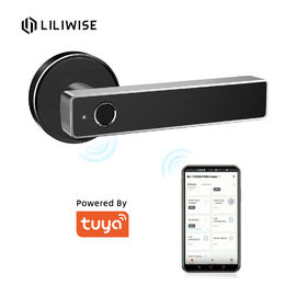 App-Bluetooth-Türschloss-biometrischer Fingerabdruck-Türgriff-Digital Tuya WiFi Keyless intelligentes Türschloss