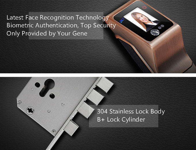 Biometrisches intelligentes Gesichtserkennungs-Türschloss-nicht- Noten-Infrarotinformationen - sammeln Sie Weise 1