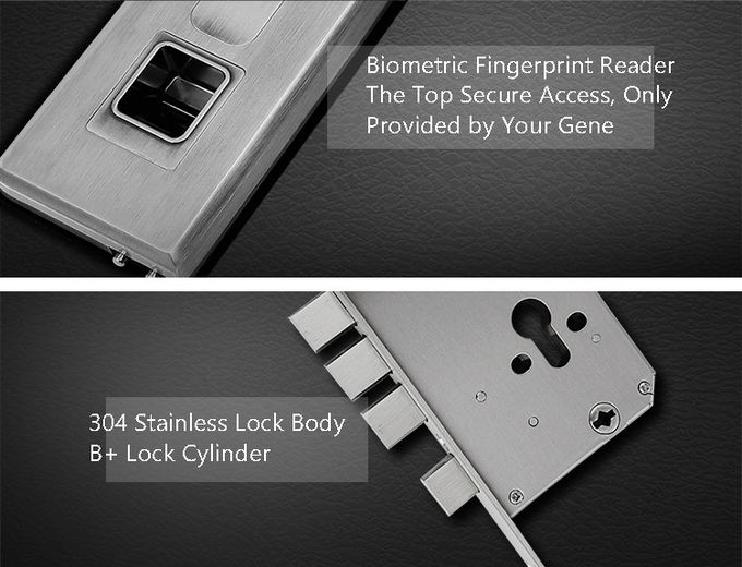 Kodieren Sie Fingerabdruck-Türschloss-Griff-goldenen weniger als 0,5 zweiten Augenblick - auf Technologie 0