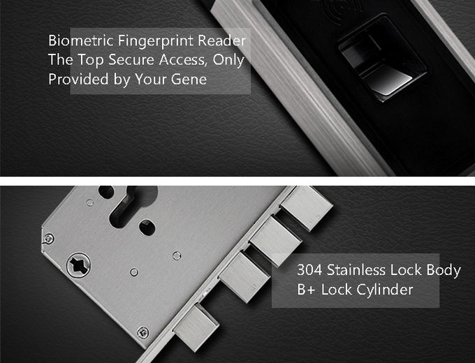 Karten-einfacher moderner optischer Sensor des Edelstahl-Fingerabdruck-Türschloss-RFID 2