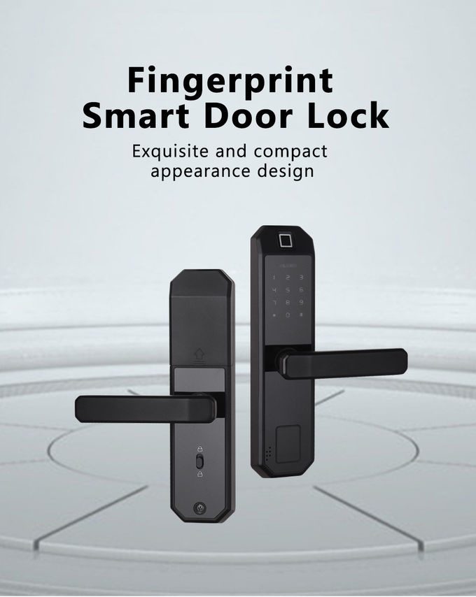 Elektrisches Fingerabdruck-Türschloss des drahtlosen Netzwerks für Wohnungs-2-jährige Garantie 1