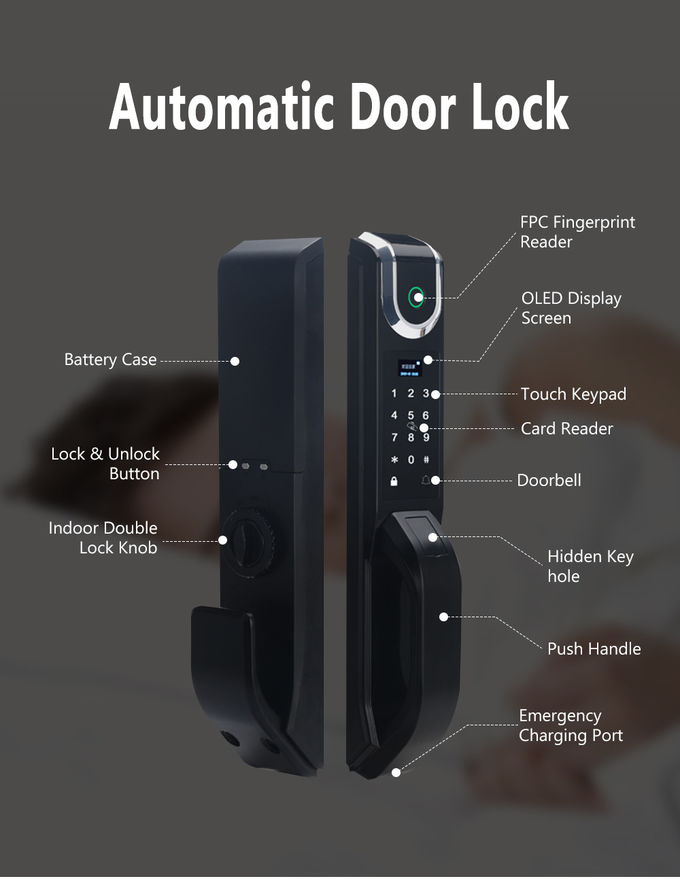 Sicherheits-biometrischer Fingerabdruck-automatisches Türschloss mit Nut CER RoHs FCC 0