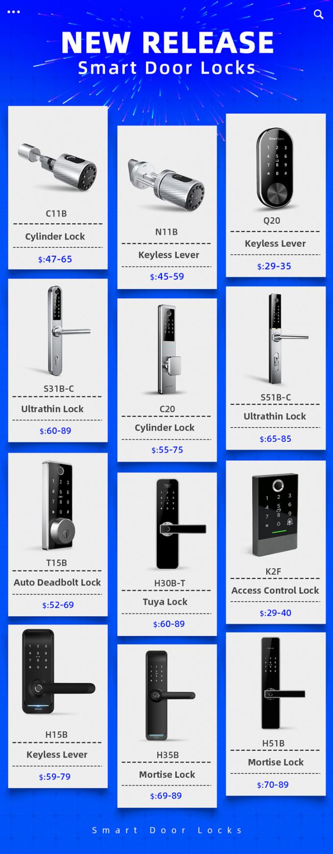Passwort-Fingerabdruck-Schlüssel-intelligentes Türschloss Digital der hohen Qualität biometrischer für Haus 10