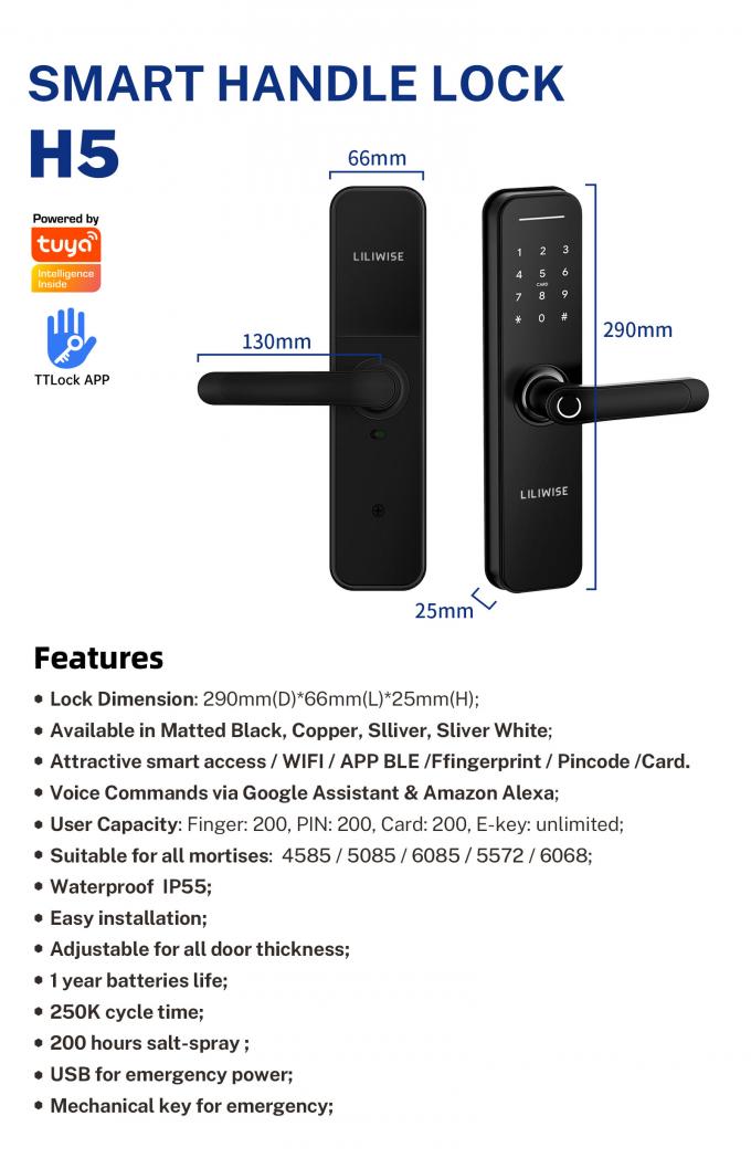 Intelligenter Verschluss-inländisches Wertpapier-Fernsteuerungsfingerabdruck-biometrisches Türschloss Soems 10