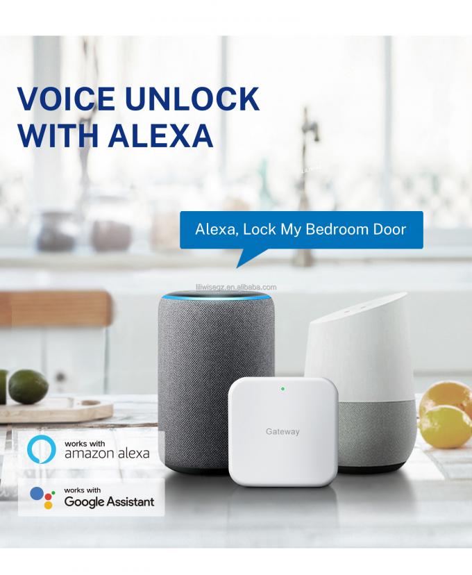 Tuya WiFi BLE Smart Door Lock mit Fingerabdruck und Tastatur 4