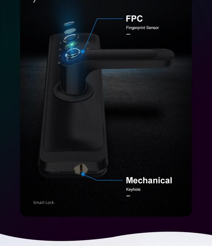 Biometrische automatische Türschließung 3