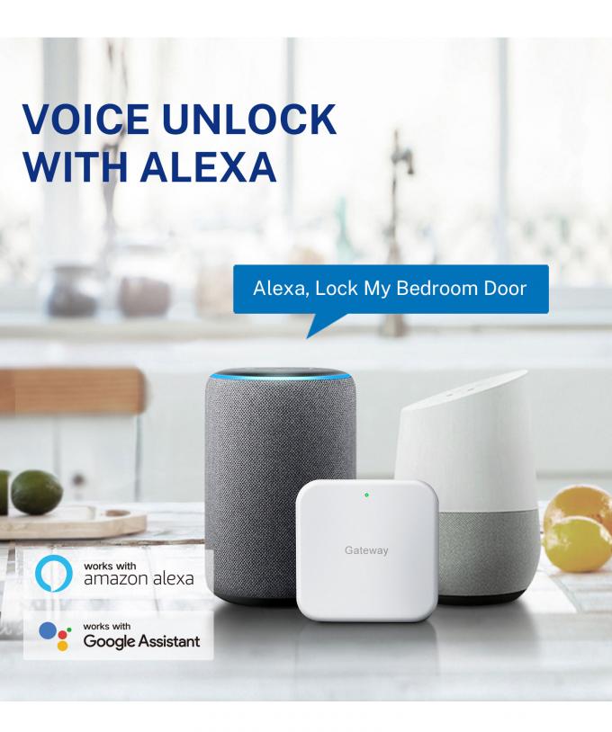 Liliwise Neues Design Voll-Automatisches Schloss Digitales elektronisches Fingerabdruckschloss Tuya APP TTlock Smart Door Lock 24