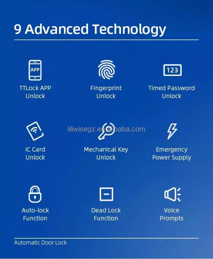Liliwise Edelstahl Wasserdichtes Smart Lock Au&szlig;en Tuya Ttlock Wifi Schl&uuml;sselloses Smart Door Lock Mit Api 4