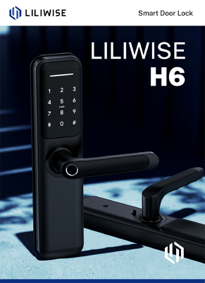 Großhandels-Bluetooth Digital Türschloss Liliwise Cerradura Inteligente