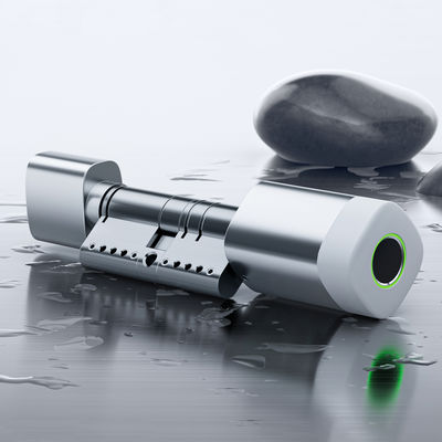 Liliwise Fingerabdruck RFID-Karte Wasserdichtes Türschloss Verstellbares WiFi BLE Tuya Ttlock Smart Zylinderschloss zum Ersetzen alter mechanischer