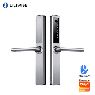 Liliwise Edelstahl Wasserdichtes Smart Lock Außen Tuya Ttlock Wifi Schlüsselloses Smart Door Lock Mit Api