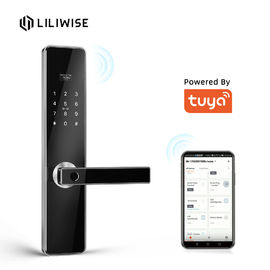 Steuerung intelligenter Tor-Verschluss-Keyless Fingerabdruck-Türschloss Tuya TTlock für Hauptholztür-Verschlüsse