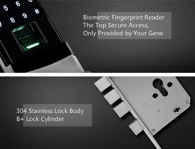 Fingerabdruck-automatische Türschloss-Halbleiter-Sensor-hochfeste Zink-Legierung 0