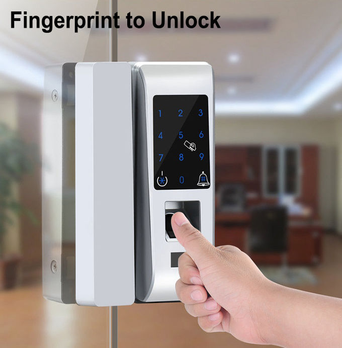 Der kundenspezifische biometrische Frameless Haustür-Verschluss keine Löcher vier setzen Weisen frei zu entriegeln 0